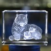 3D Laser Crystal Tiger DY-ND8007