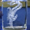 3D laser engraving A BIRD OF WONDER DY-ND8005